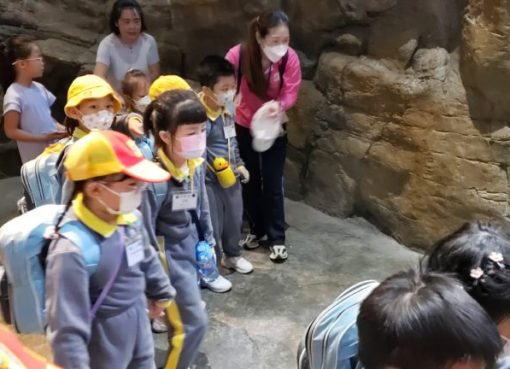 20230324_101751-768x432