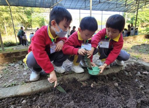 20241128_120231-768x576