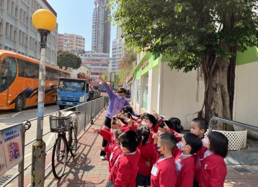 IMG_0667photo-768x576