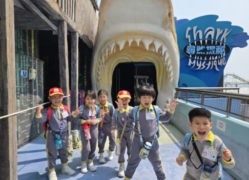 上午3誠_3我們發現鯊魚分了不同種類-768x576